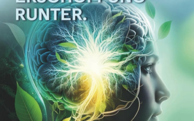 Energie hoch. Erschöpfung runter. (Dr. Fritz Hemmerich)